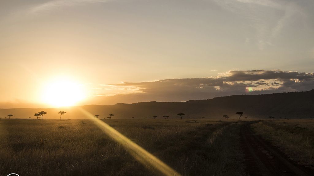 Masai Mara