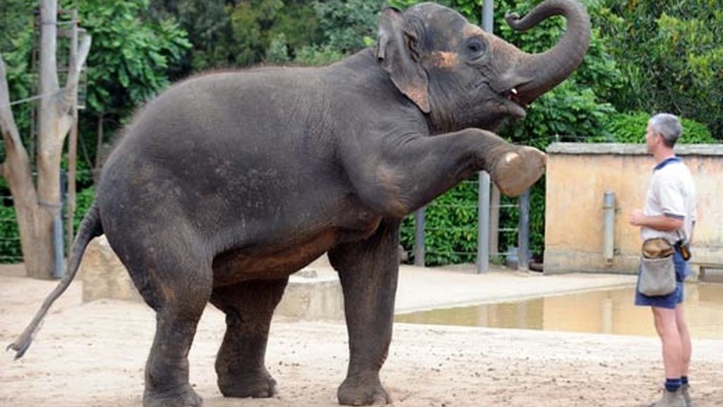 A punto de ser mamá