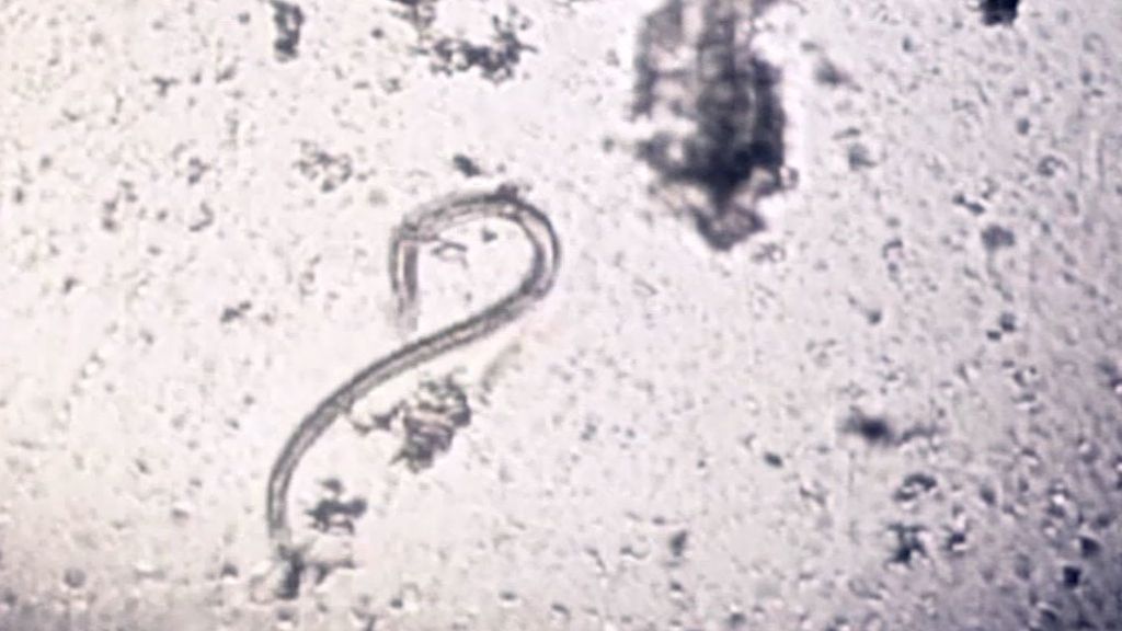 El secreto de las nubes: Los chemtrails