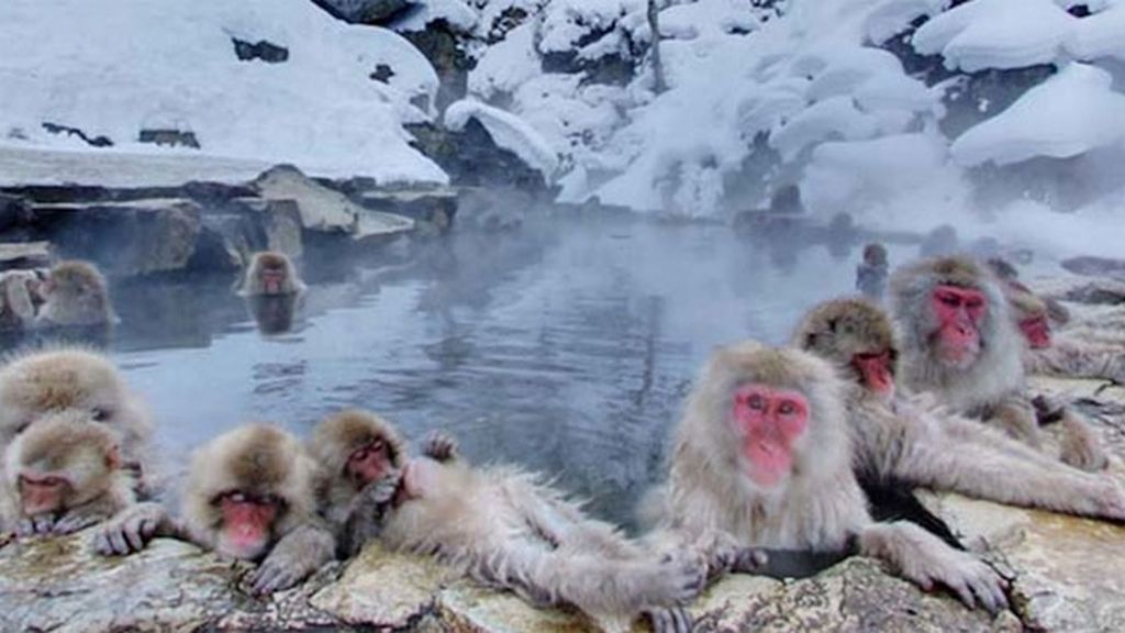 Google Street View, te vigila