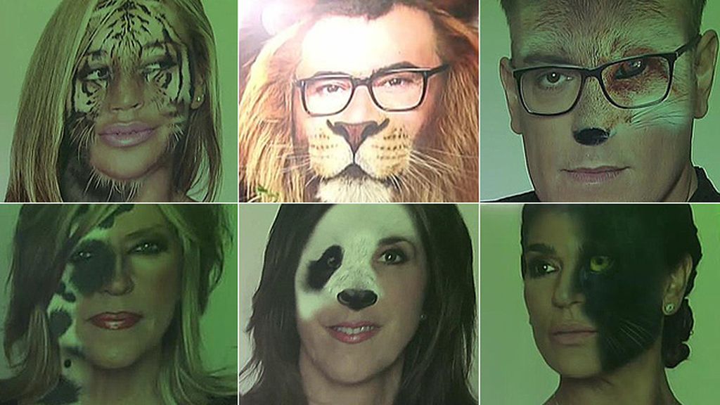 Leones, tigres, pumas, leopardos... La otra cara de los colaboradores