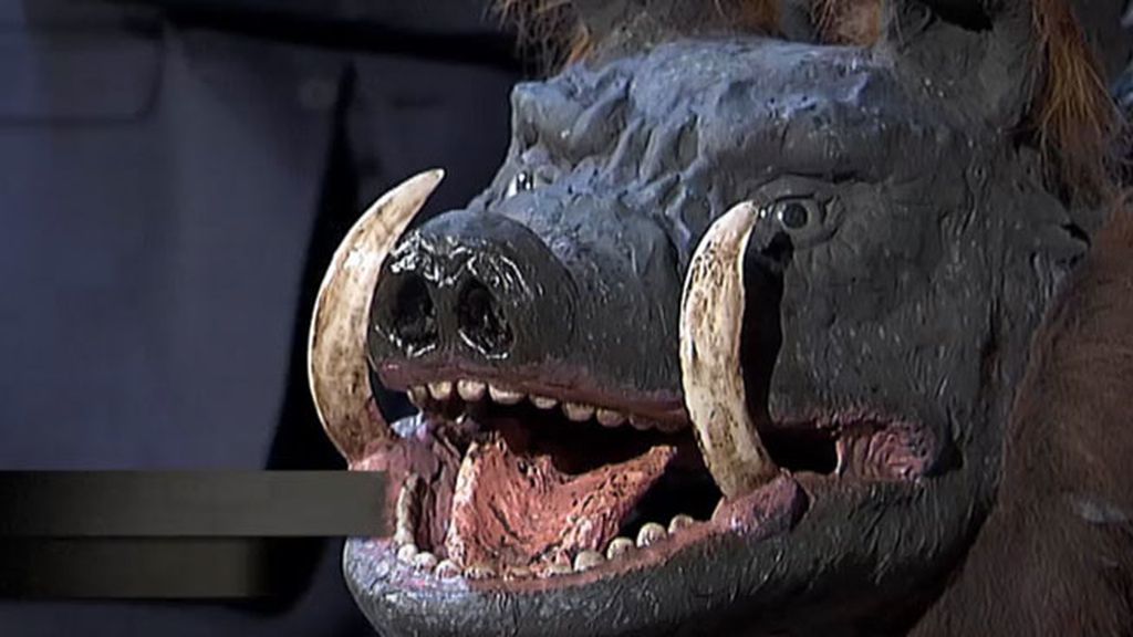 Puerco monstruoso marino, de 'Historia de las gentes septentrionales'