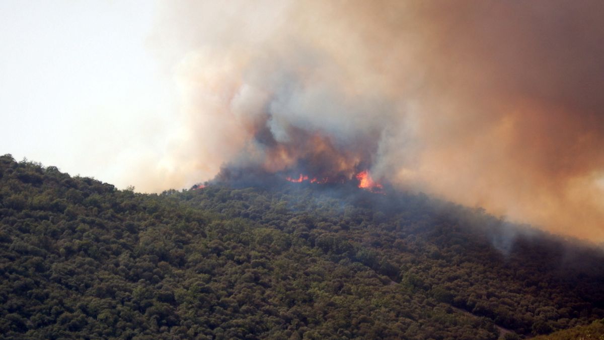 Incendio que afecta al Parque Nacional de Cabañeros