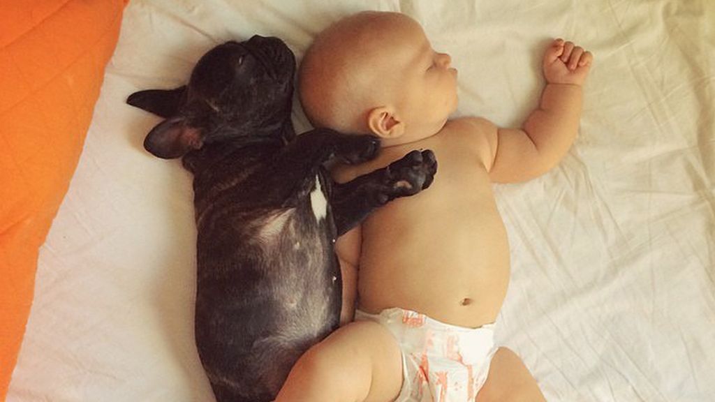 Dilan y Farley, su perro, comparten algo más que su cumpleaños