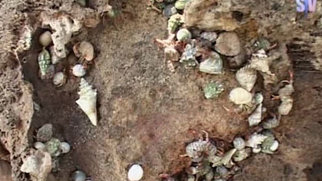 Estómago a prueba de bombas