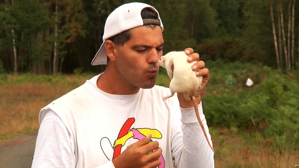 La selva en casa, de la mano de Frank Cuesta