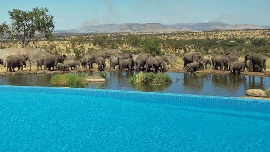 Las piscinas más curiosas del mundo