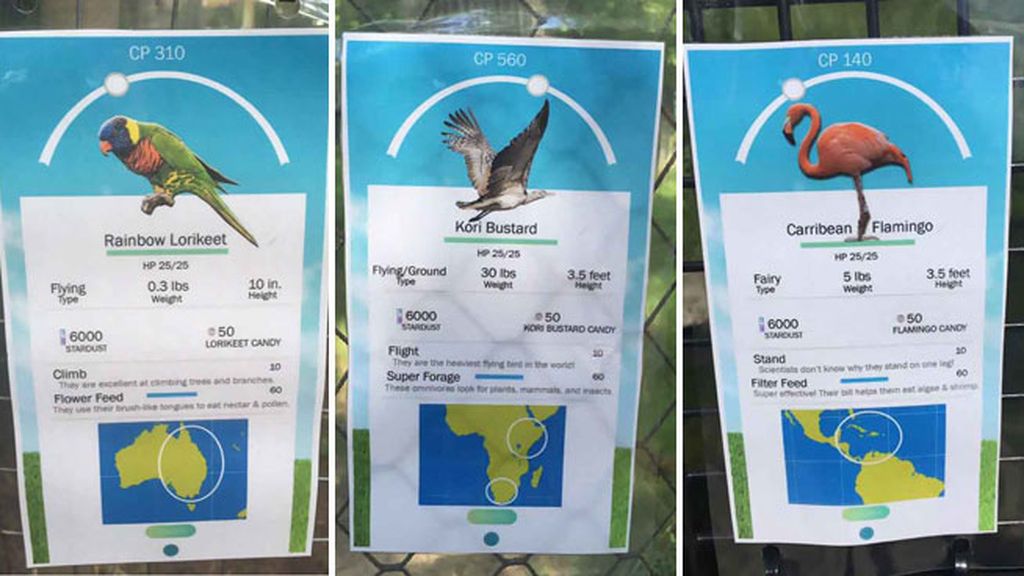 El zoo de Birmingham se une a la fiebre de Pokémon Go