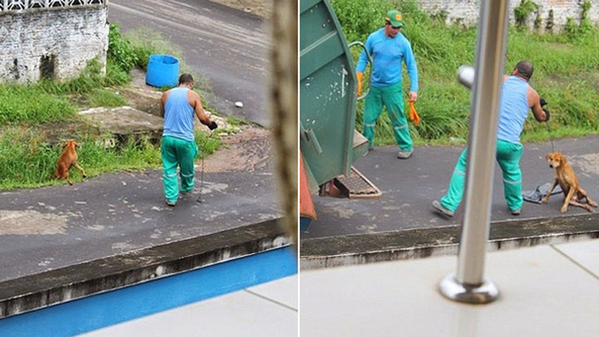 Un basurero brasileño despedido por tirar un perro al camión