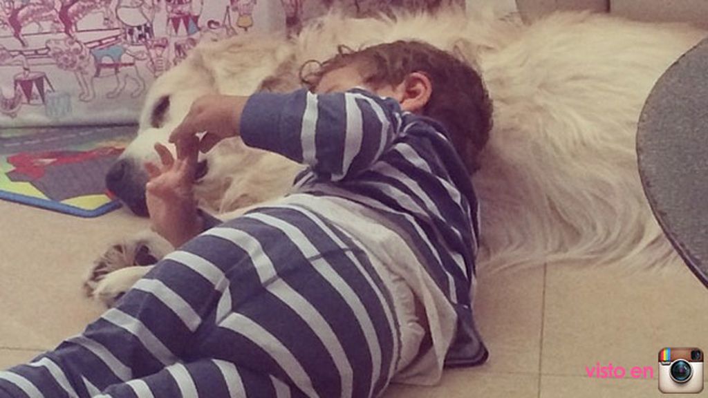 La familia de Lucas se completa con los perros con los que viven, Lunes y Lanas