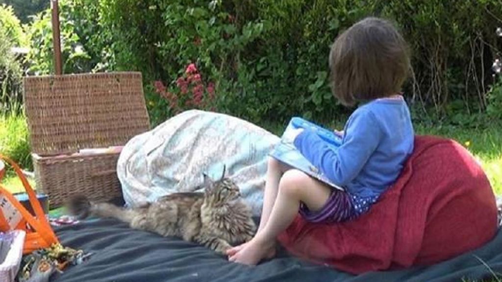 La pequeña tiene autismo y vive en Reino Unido