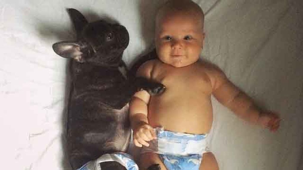 Un perro y un bebé nacen el mismo día y son inseparables