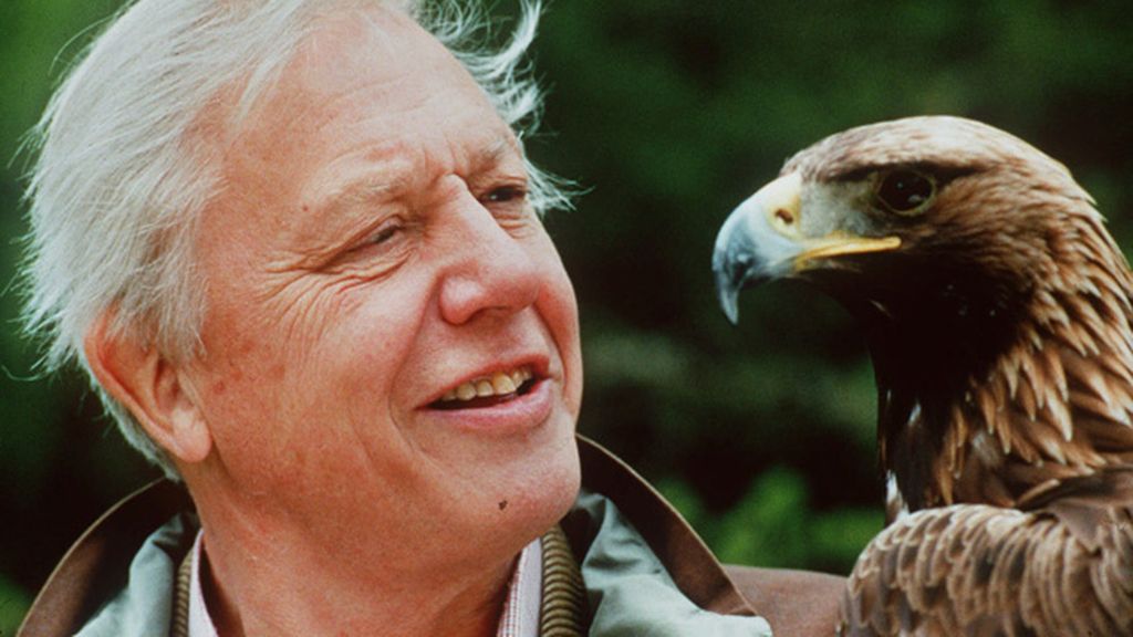 David Attenborough en 'Planeta Tierra'