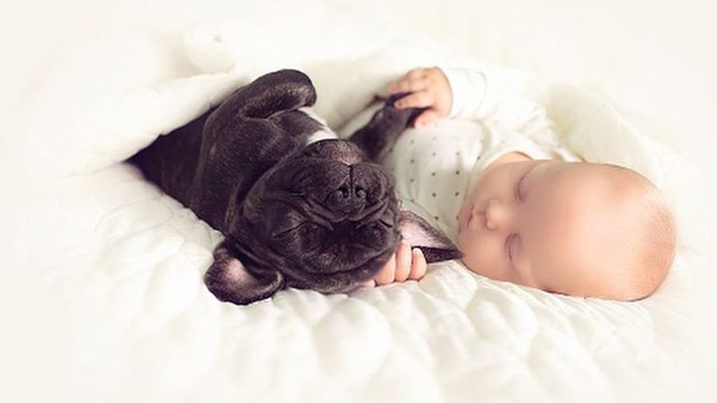 Dilan y Farley, su perro, comparten algo más que su cumpleaños