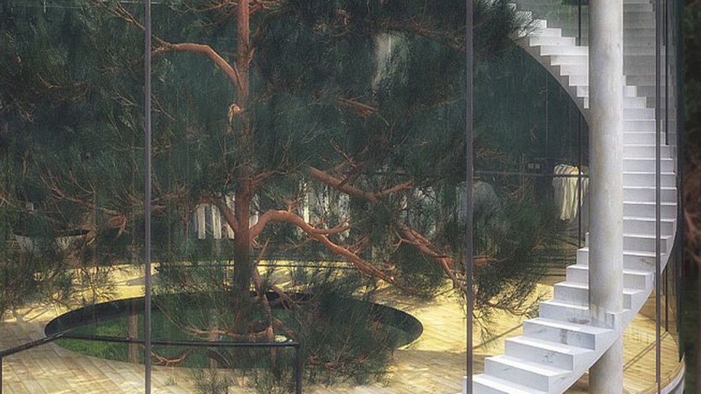¿Le gustaría vivir en una casa-árbol?