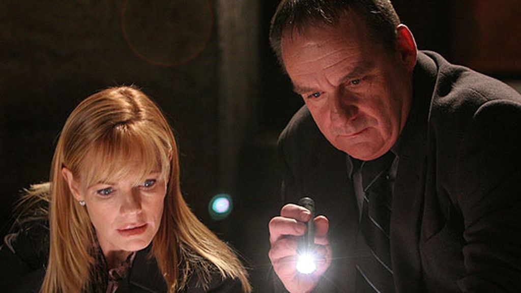 C.S.I. Las Vegas Temporada 6