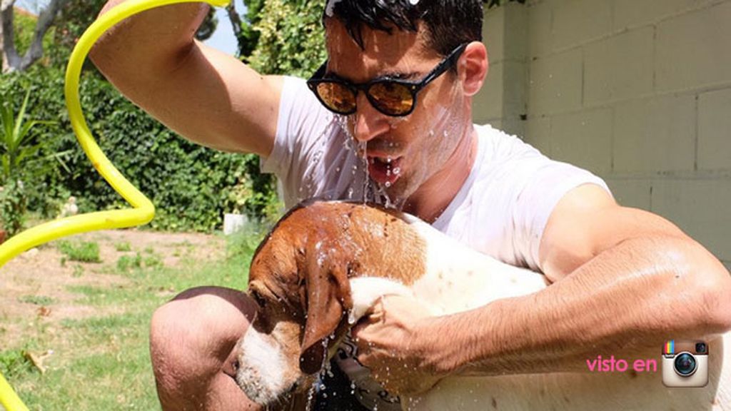 A falta de agua, buena es una manguera para Silvestre y Harpo