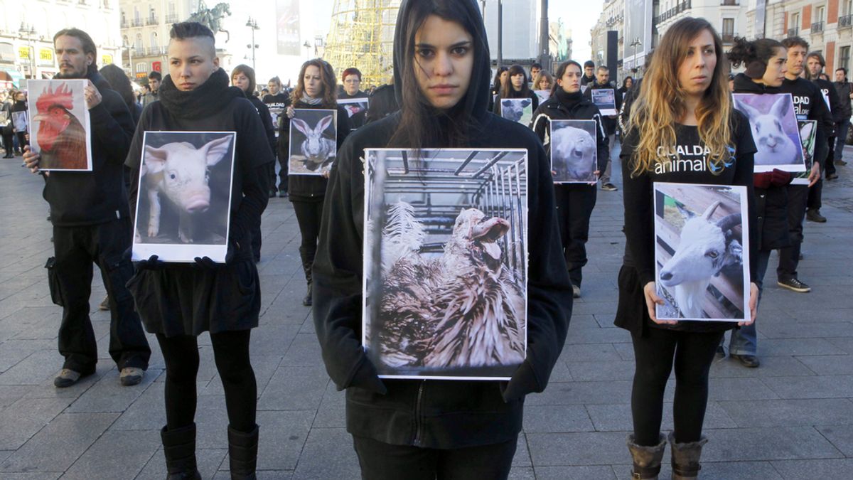 Igualdad Animal muestra en Madrid cadáveres y fotografías de animales maltratados