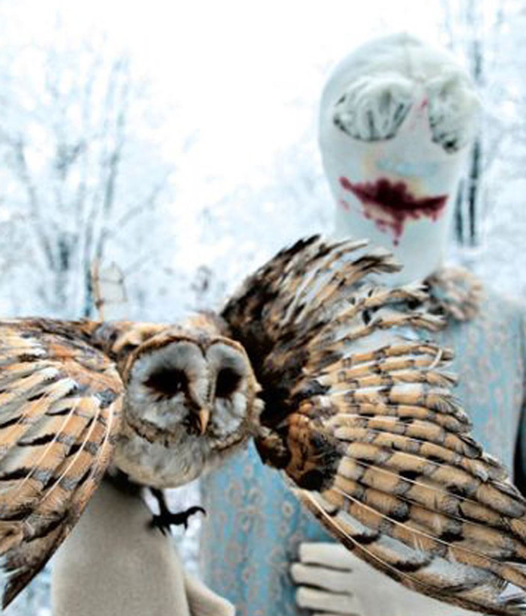 Polémicas fotografías escalofriantes con animales disecados