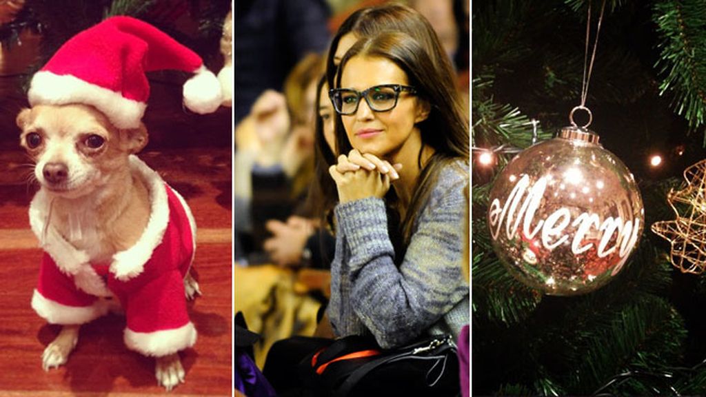 Paula Echevarría decora la casa y viste al perro de Papá Noel