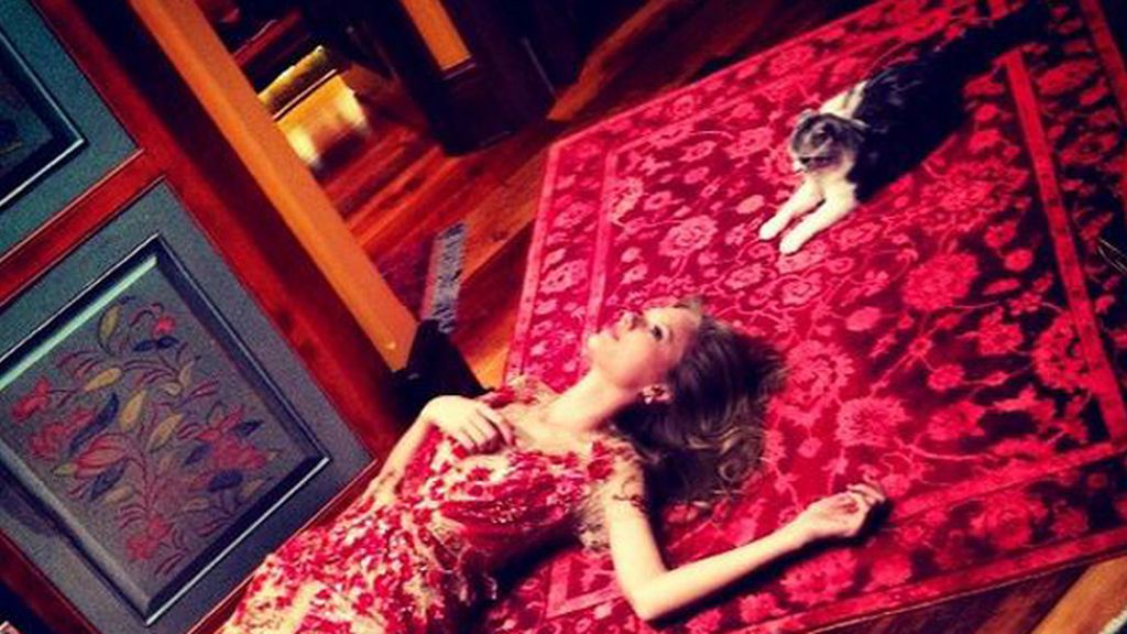 Taylor Swift da las gracias a su adorado gato