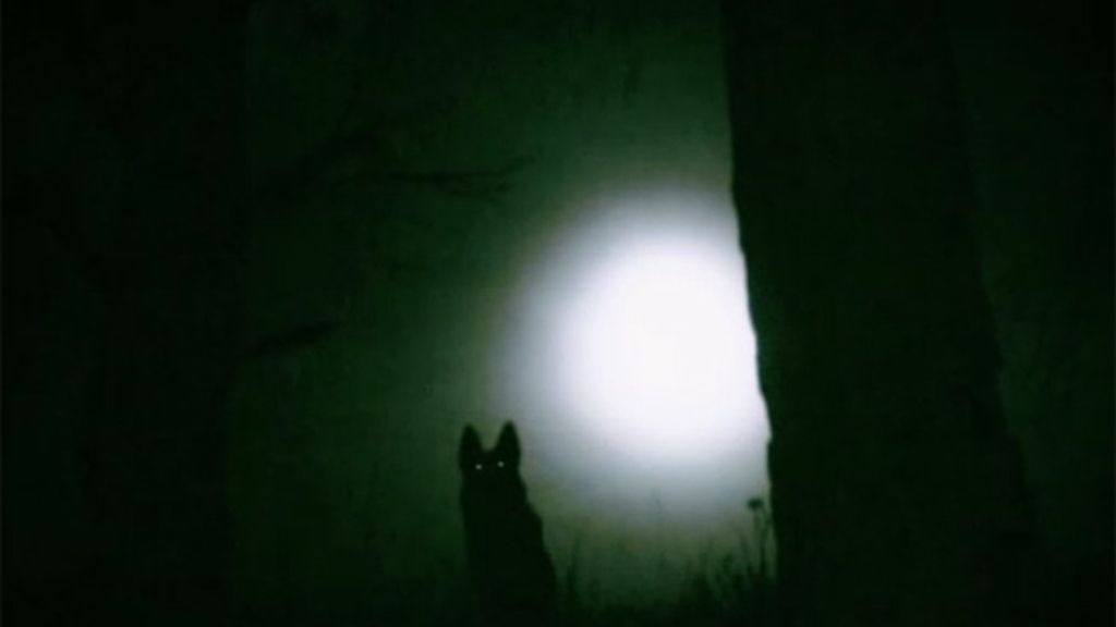 Las mejores imágenes del programa