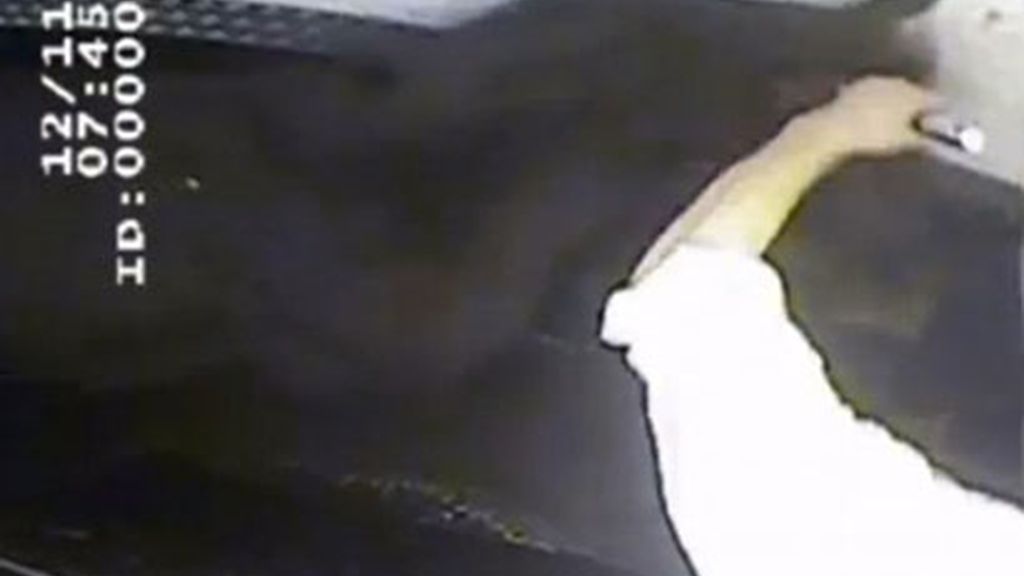 Caballos torturados en Chesire, Londres