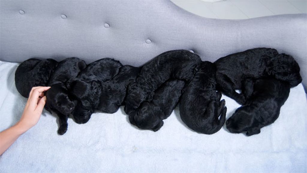 Todos descalzos, en un colchón-sofá en el suelo...