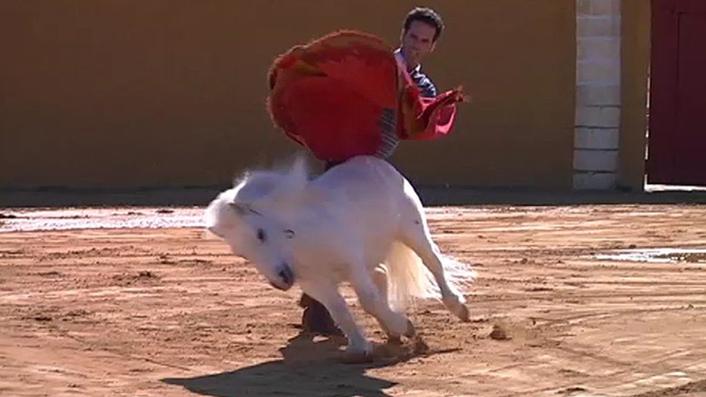 Jabalíes, ciervas, linces, burros, ocas y ponis... unos animales muy domésticos