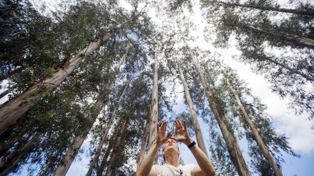 Se manifiestan desnudos para parar una deforestación en Berkeley, Estados Unidos