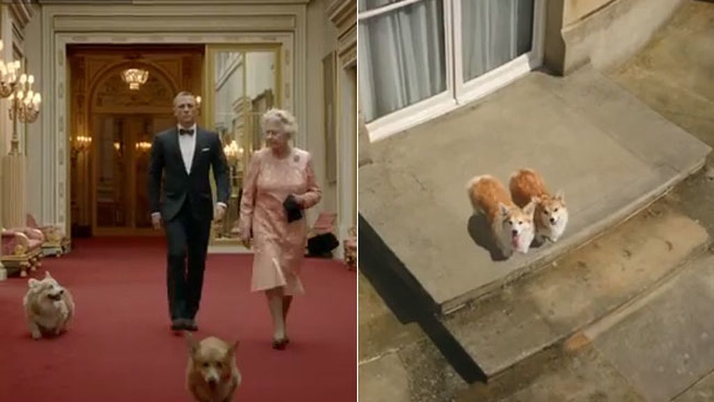 El nuevo perro de los Obama y otros ilustres mejores amigos de políticos y monarcas