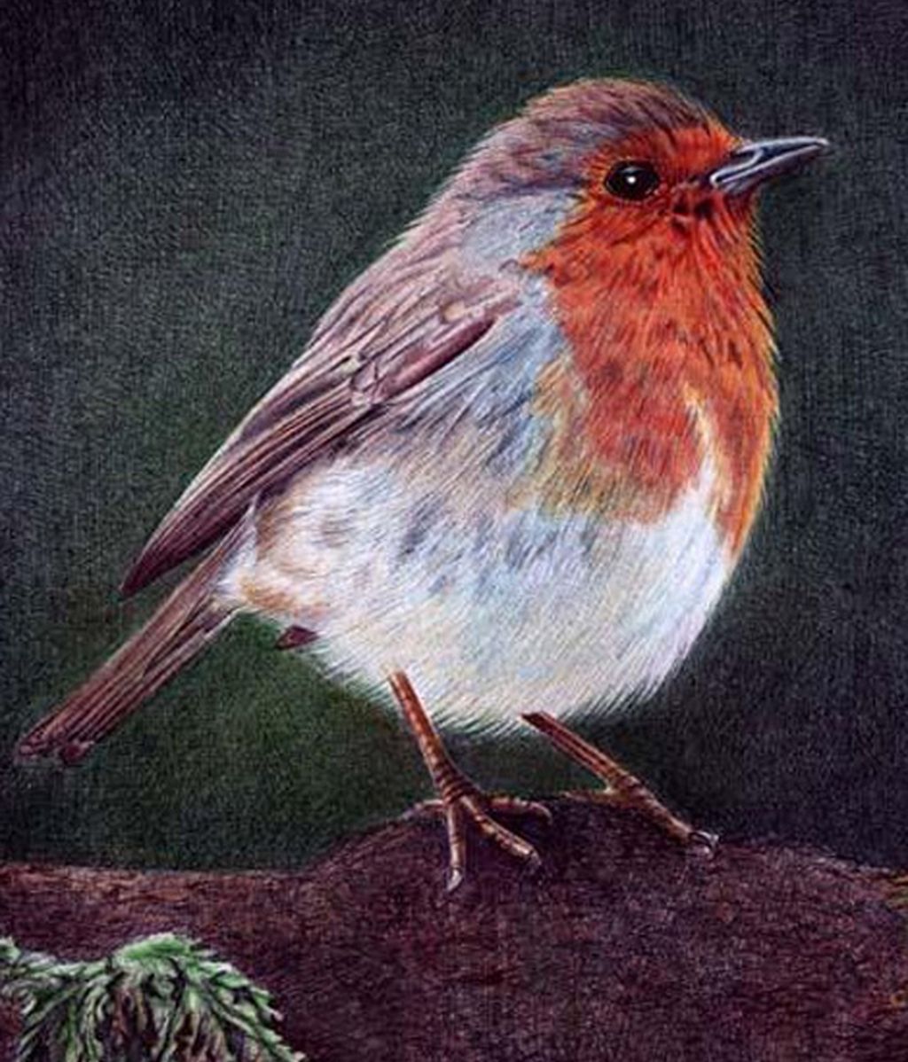 Hiperrealismo a bolígrafo