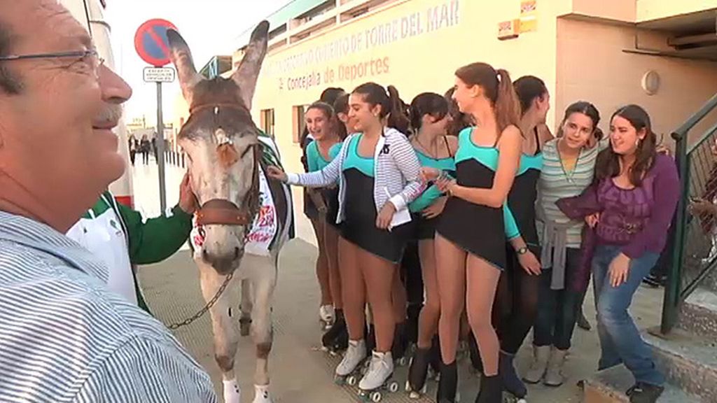 Jabalíes, ciervas, linces, burros, ocas y ponis... unos animales muy domésticos