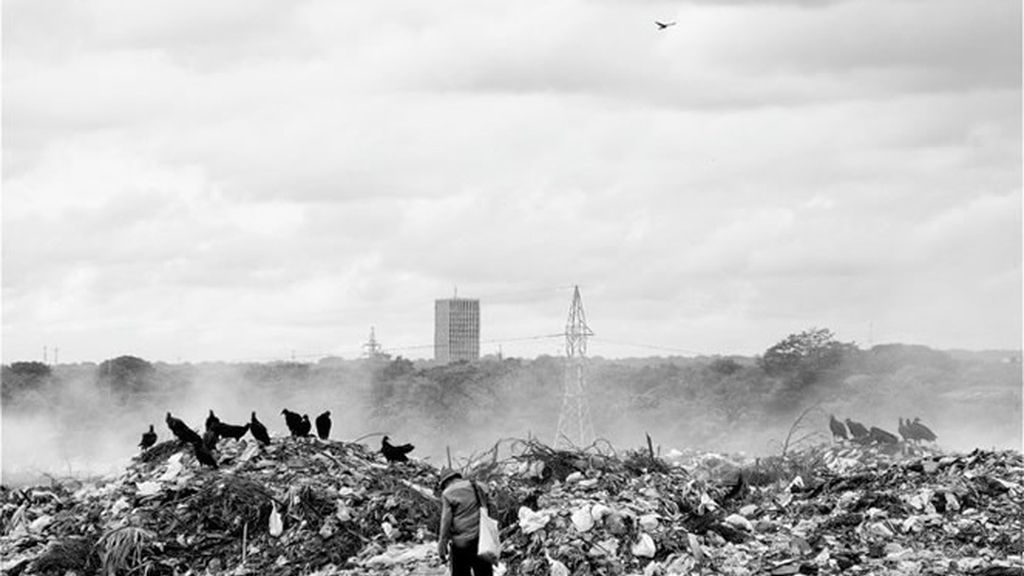 Las aves carroñeran campan a sus anchas en La Chureca