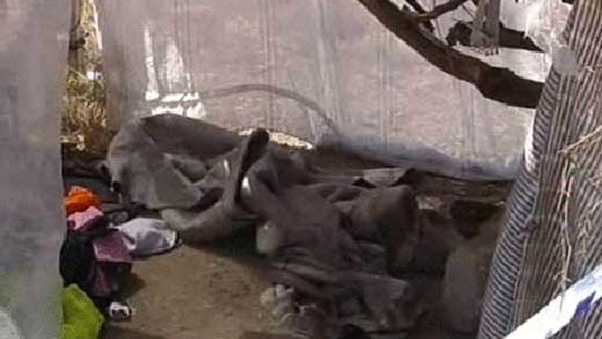 Hallan el cadáver de una joven en el barrio malagueño de La Palmilla. Foto: ATLAS