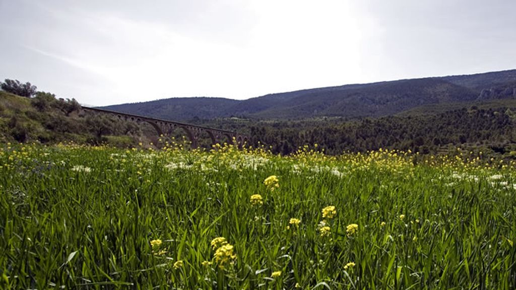 Carmen Jordá nos muestra Alcoy, su vista favorita