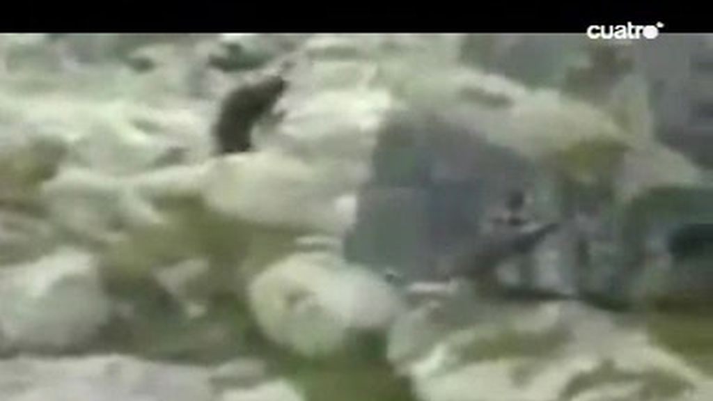 ¡El Yeti está vivo!