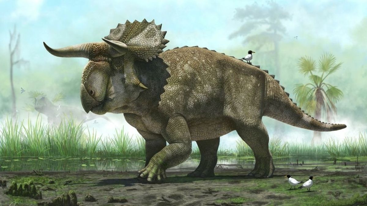 Hallan una nueva especie de dinosaurio que se caracterizaba por su enorme nariz