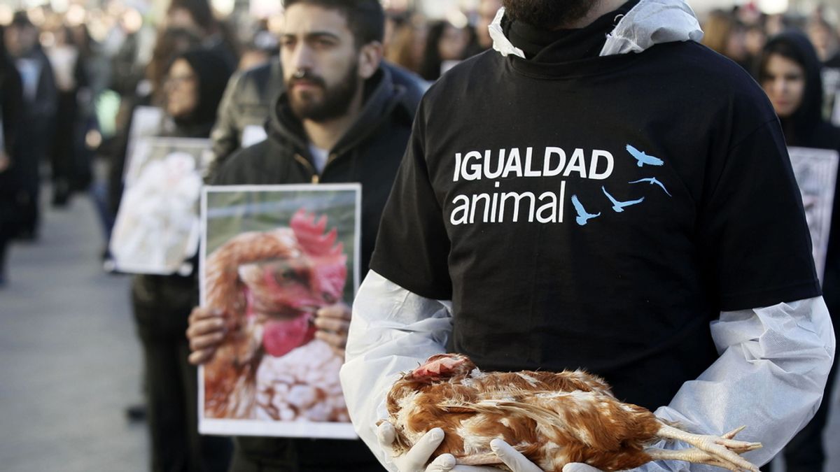 Igualdad Animal protesta con cadáveres de animales para luchar por sus derechos