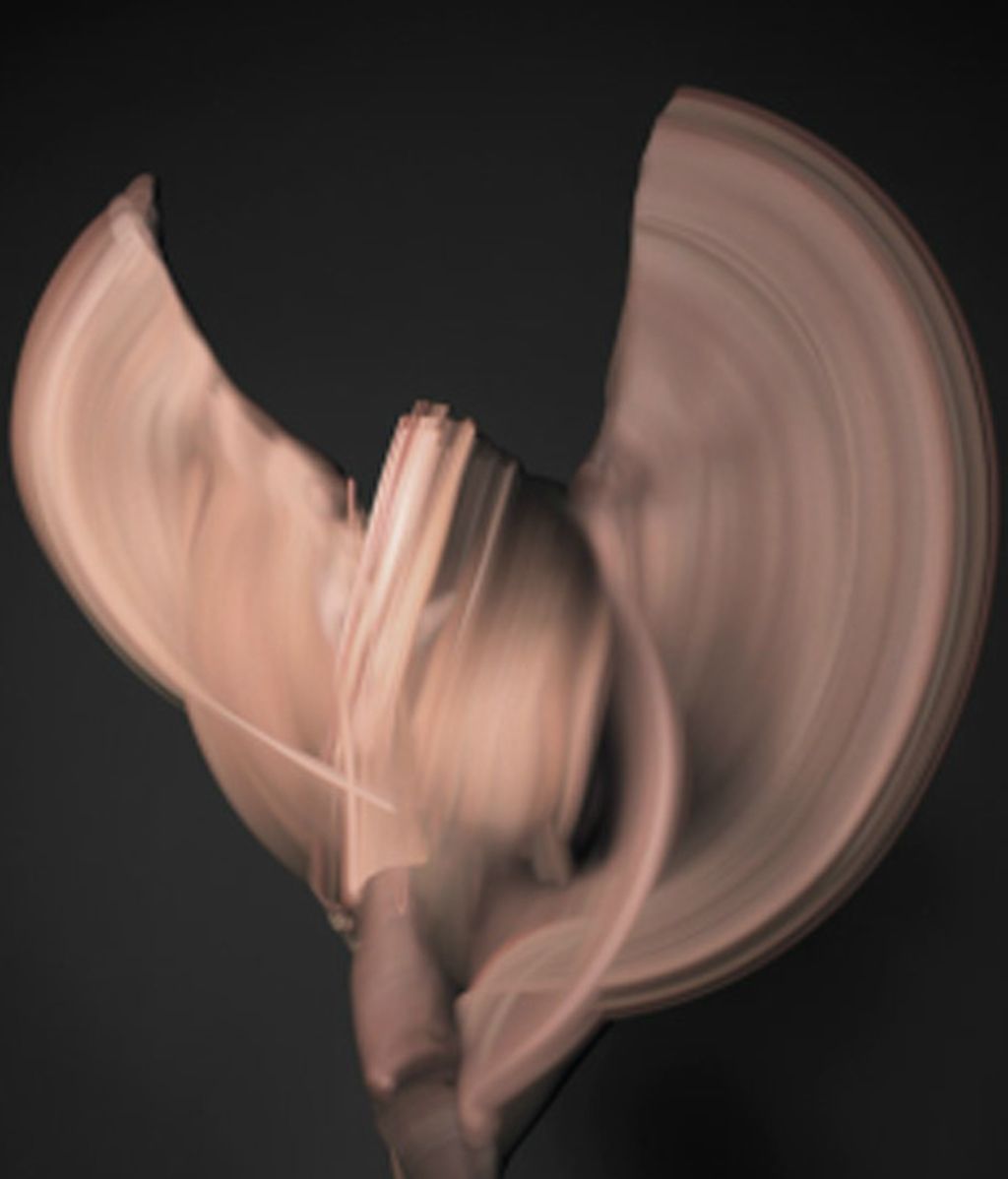 Desnudos en movimiento