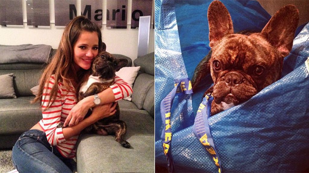Malena Costa, toda una amante de los bulldogs, y de Roco