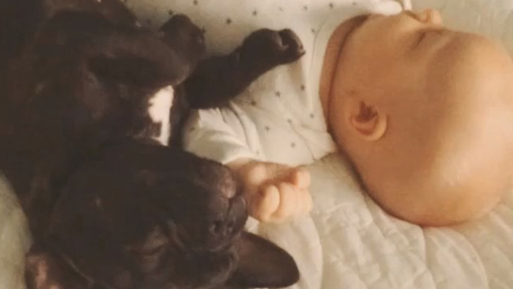 Dilan y Farley, su perro, comparten algo más que su cumpleaños