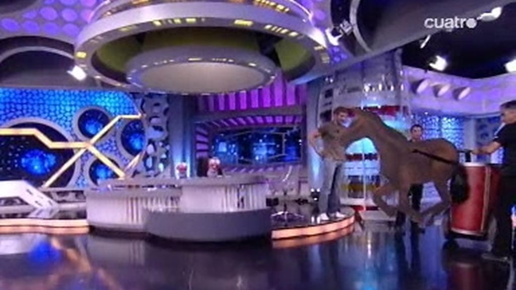 Pablo Motos reta a Darek a una carrera de cuadrigas