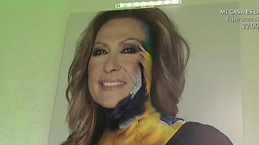 Leones, tigres, pumas, leopardos... La otra cara de los colaboradores