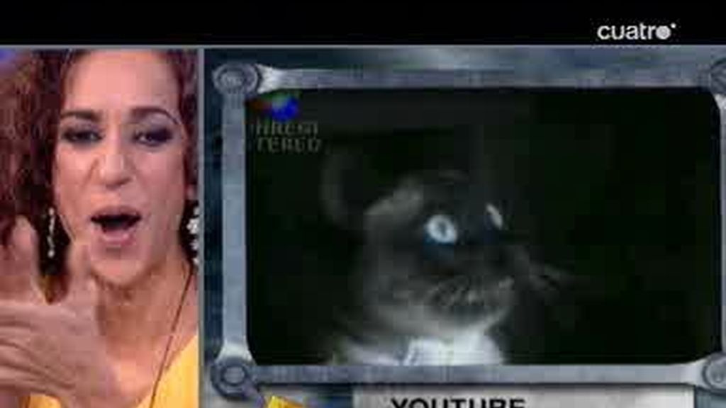 El Hormiguero: Rosario Flores hace bailar a los gatos