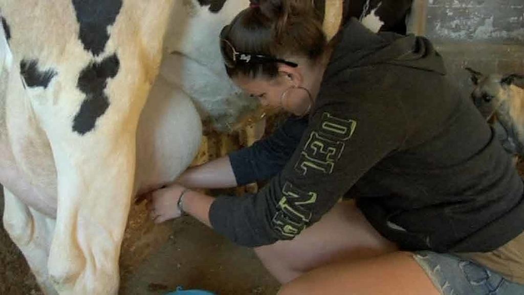 Las chicas tratan de integrarse a la vida en la granja