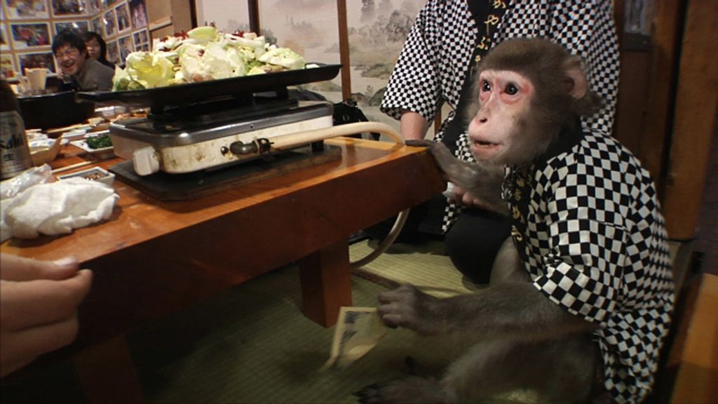 Monos camareros y restuarantes japoneses insólitos, en el estreno de 'Fogones lejanos'