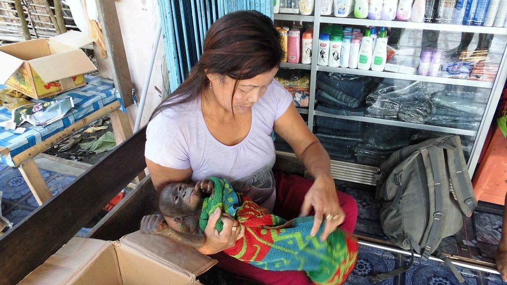 El animal  ha sido bautizado como Gito