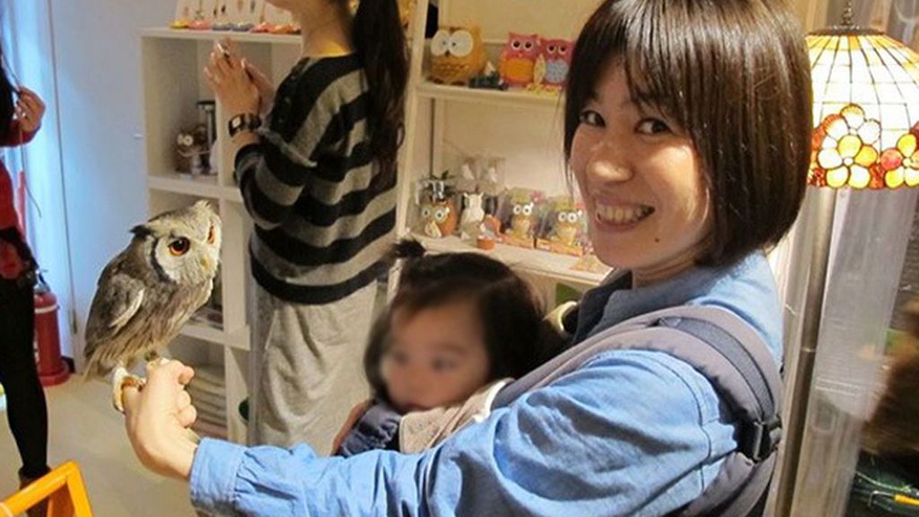 Extravagantes cafeterías de búhos y lechuzas, es la nueva tendencia en Tokio