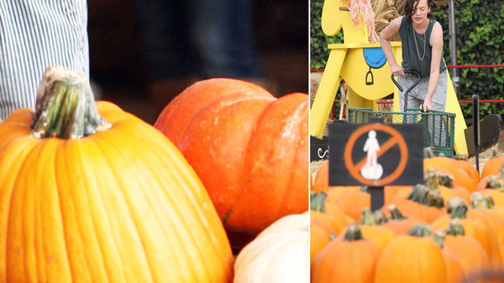 Jovovich te enseña a elegir la calabaza reina